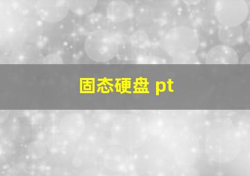 固态硬盘 pt